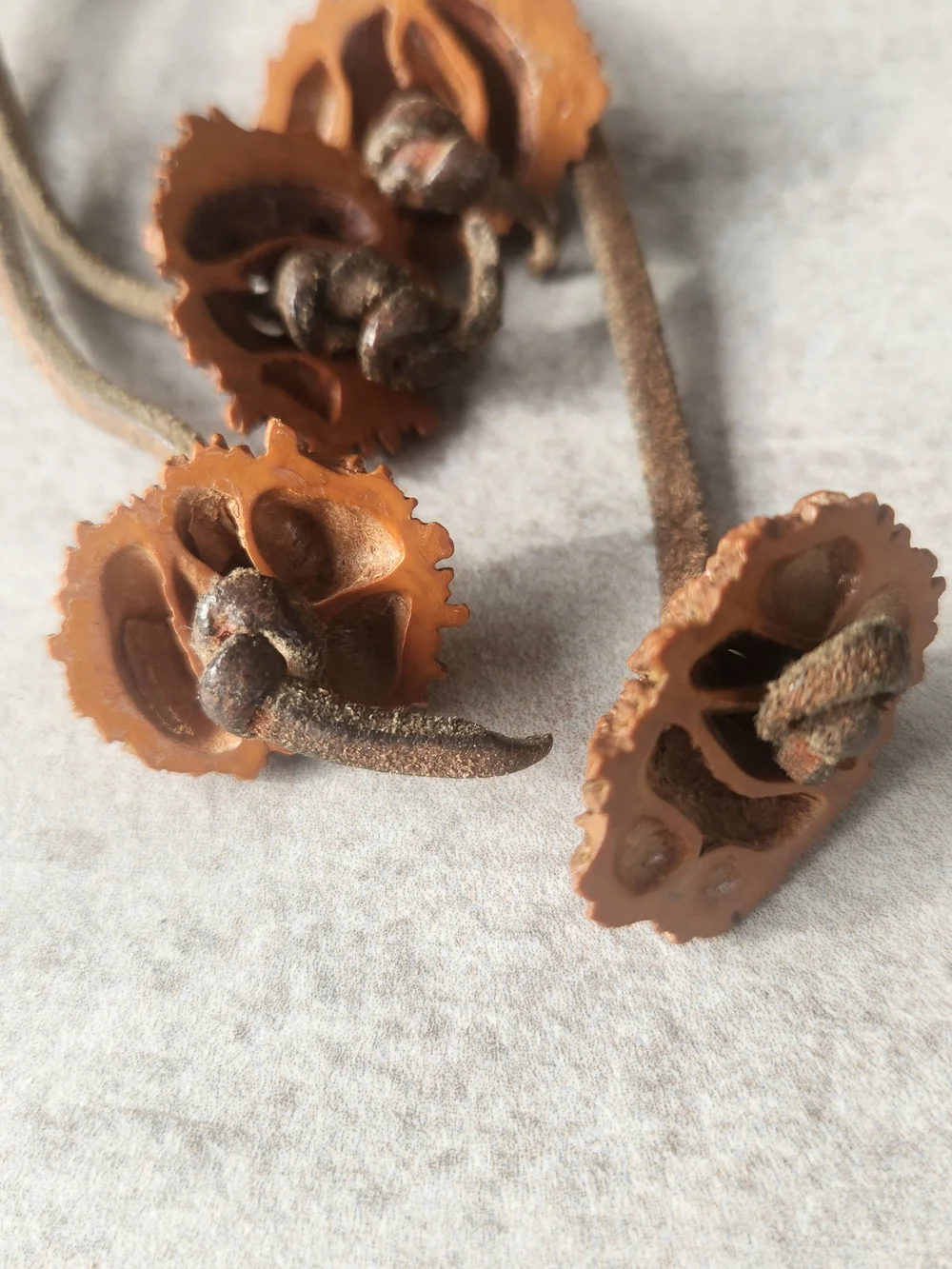 Vintage 70s Black Walnut Shell Slices Tie Belt, Leather Suede Strap Boho Folk